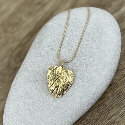 Kräuter Schmuck Oregano