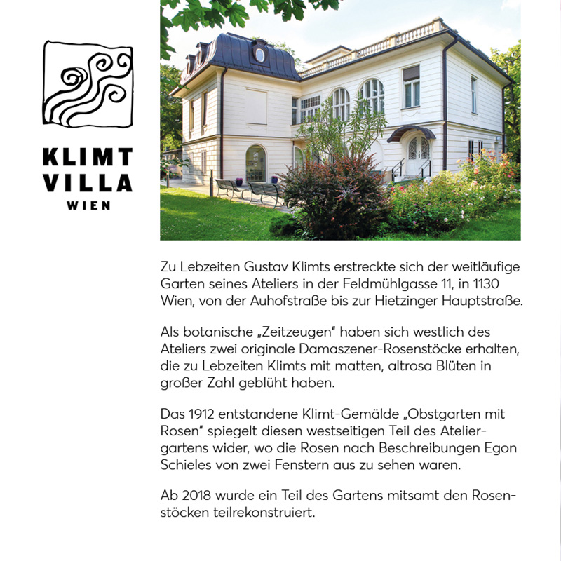 Klimt Villa Klimt Rose Werkstatt am kleinen Ring
