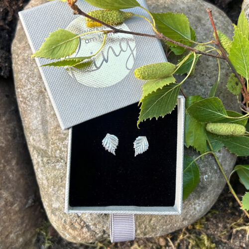 Birken Ohrstecker